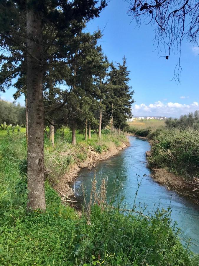 Vardis Olive Garden Georgioupoli Buitenkant foto